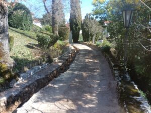 IMG_20250305_124638_586