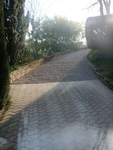 IMG_20250307_174842_641